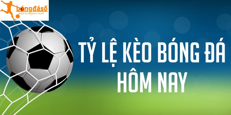 Chuyên mục nhận định / kèo ngon