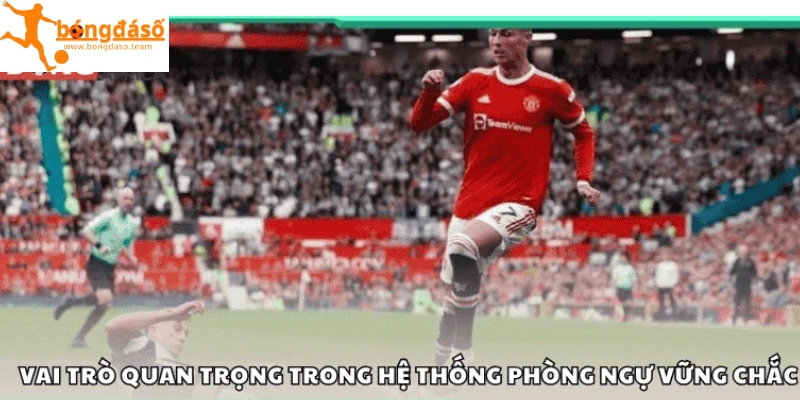 Vai trò quan trọng trong hệ thống phòng ngự vững chắc